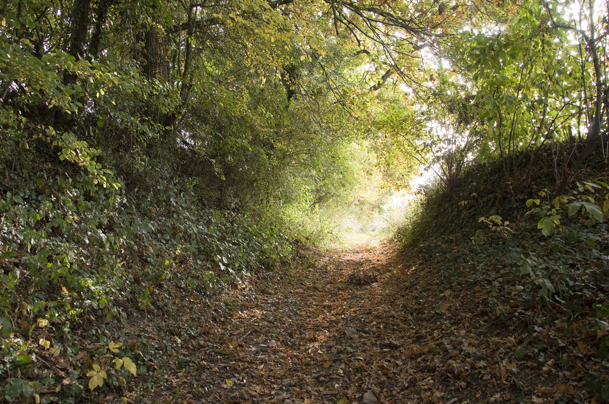 Chemin creux vers la Pierre