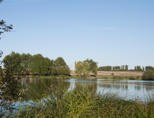 Ouverture de la pêche à l’étang de Guibouët