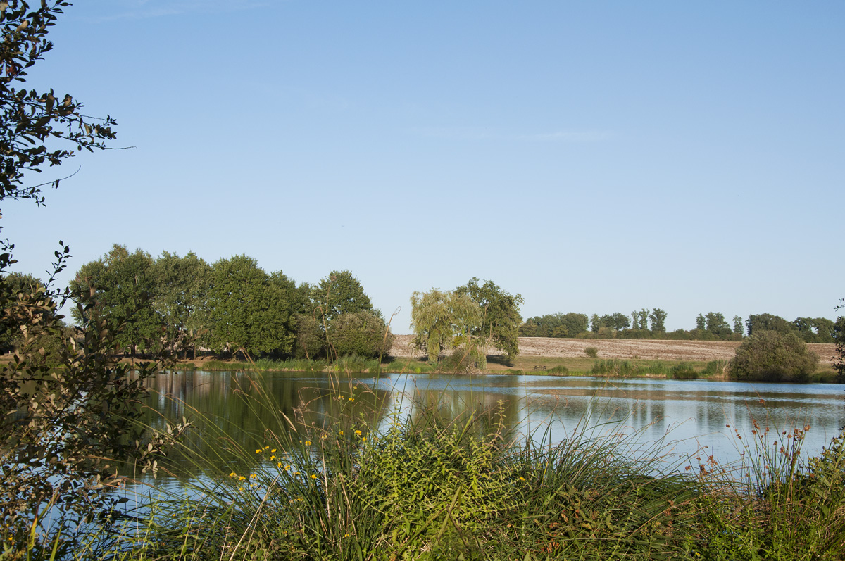 Etang de Guibouët