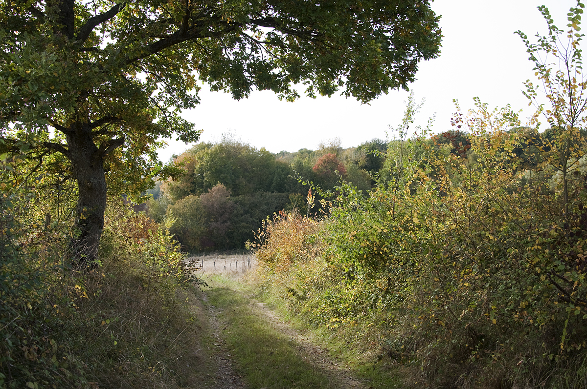 Chemin du gué de Fas vers la Basse Méchinière