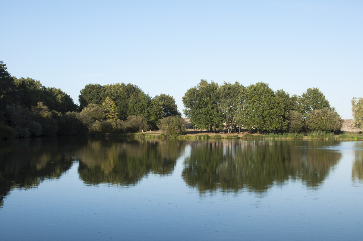 Etang de Gibouet