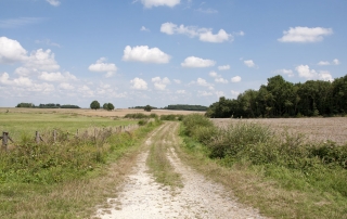 Chemin rural des Brandes à Gibouët