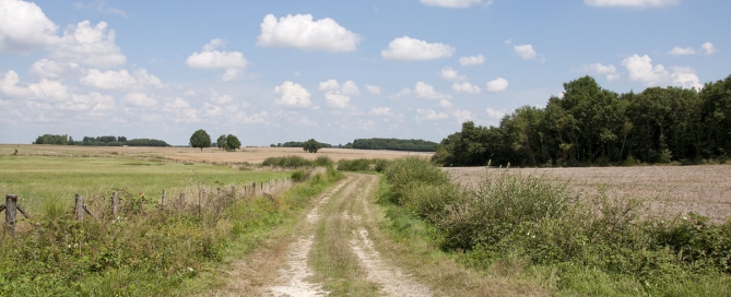 Chemin rural des Brandes à Gibouët
