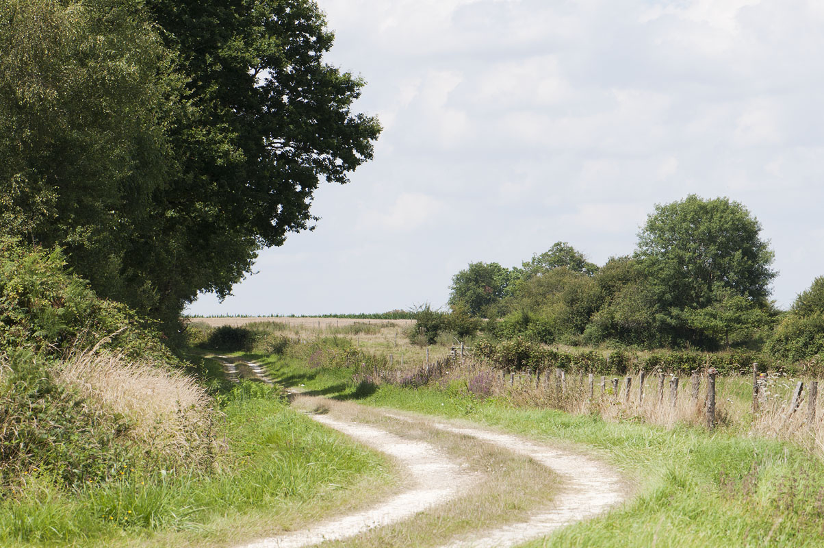 Chemin rural des Brandes