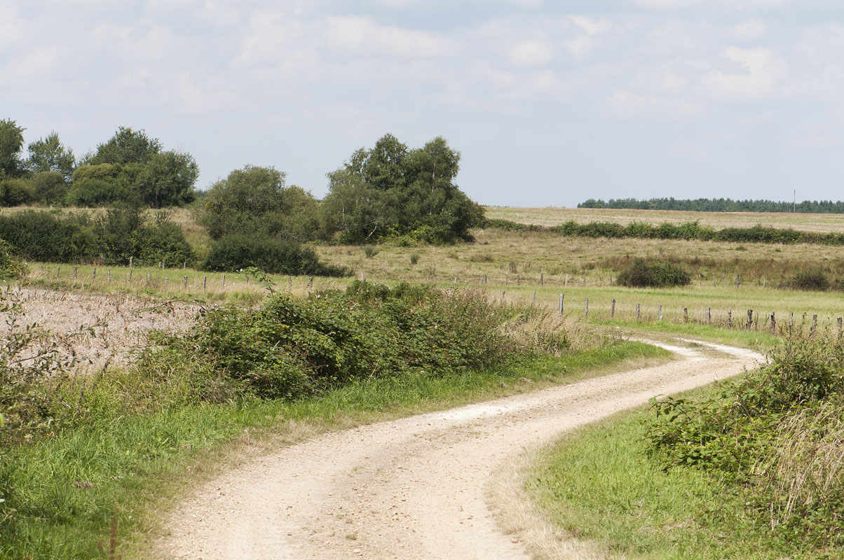 Chemin rural des Brandes