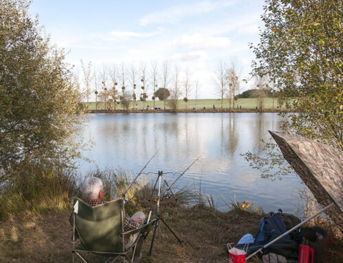 Ouverture de la pêche aux carnassiers, le samedi 5 novembre 2022 à l’étang du Gibouët.