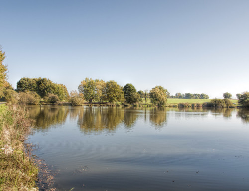 Ouverture de la pêche à l’étang de Gibouët, le mercredi 1 mai 2019