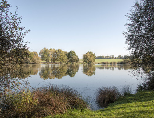 Ouverture de la pêche à l’étang de Guibouët, le dimanche 9 mai 2021