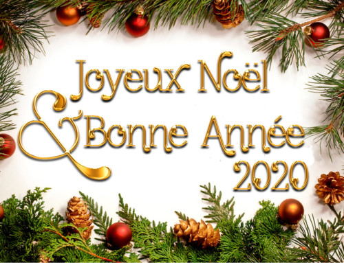 Joyeux noël et bonne année