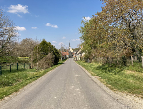 interdiction de tailler les haies et les arbres du 1 avril au 31 juillet